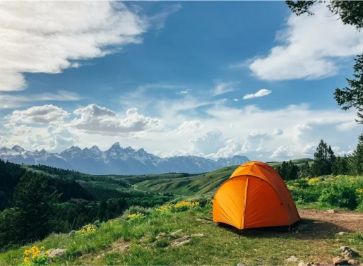 $80 Daily Nourishment Note for Each Individual